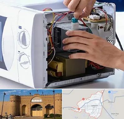 قطعات مایکروفر در ایرانشهر
