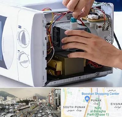 قطعات مایکروفر در پونک
