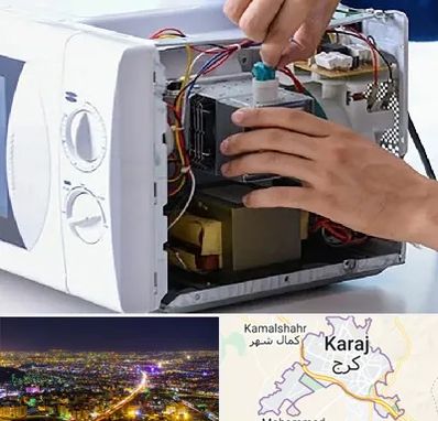 قطعات مایکروفر در کرج