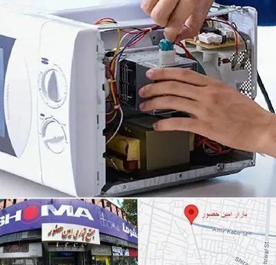 قطعات مایکروفر در امین حضور