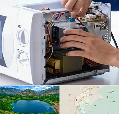 قطعات مایکروفر در رودبار