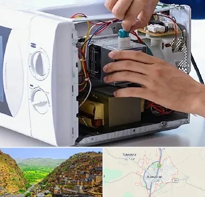 قطعات مایکروفر در کامیاران