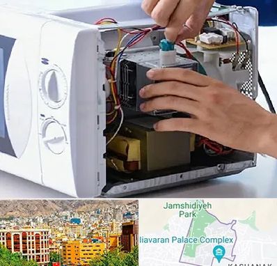قطعات مایکروفر در نیاوران 