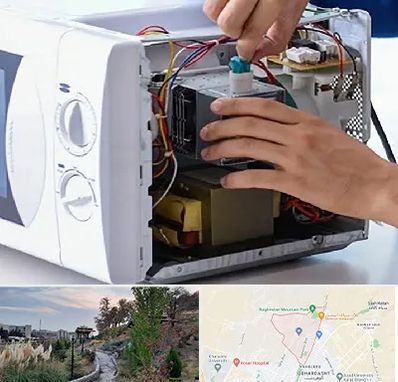 قطعات مایکروفر در باغستان کرج 