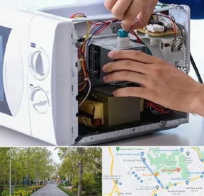 قطعات مایکروفر در قدوسی غربی شیراز 