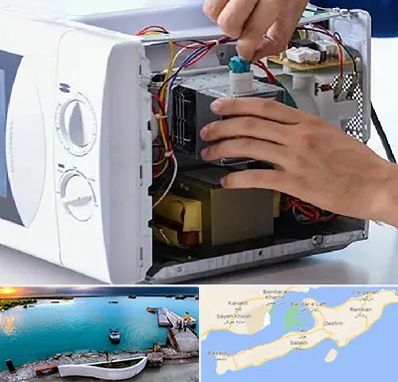 قطعات مایکروفر در قشم