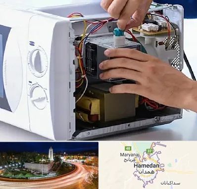 قطعات مایکروفر در همدان
