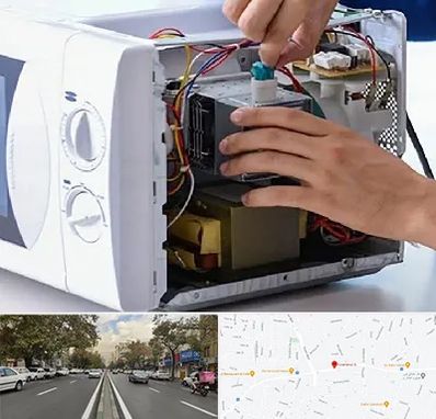 قطعات مایکروفر در دولت