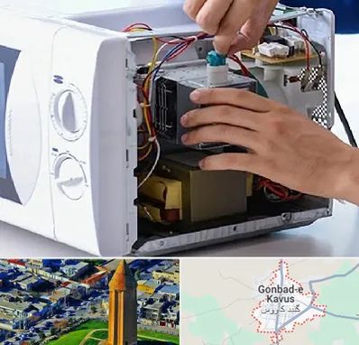 قطعات مایکروفر در گنبد کاووس