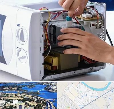 قطعات مایکروفر در کوروش اهواز 