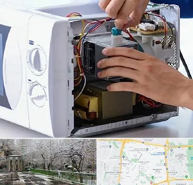 قطعات مایکروفر در باغ فیض 