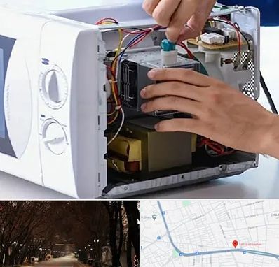 قطعات مایکروفر در ابوریحان تبریز 