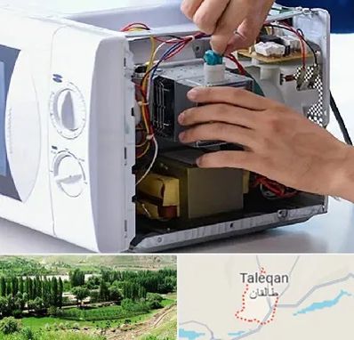 قطعات مایکروفر در طالقان