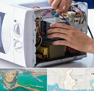 قطعات مایکروفر در سیستان و بلوچستان