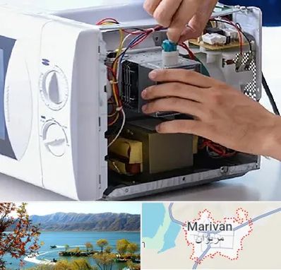 قطعات مایکروفر در مریوان