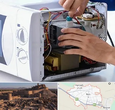 قطعات مایکروفر در بم