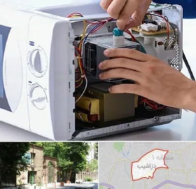 قطعات مایکروفر در دزاشیب