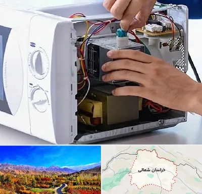 قطعات مایکروفر در خراسان شمالی