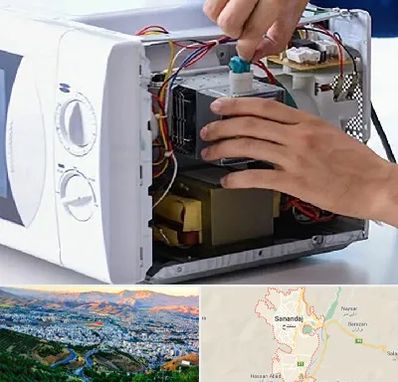 قطعات مایکروفر در سنندج
