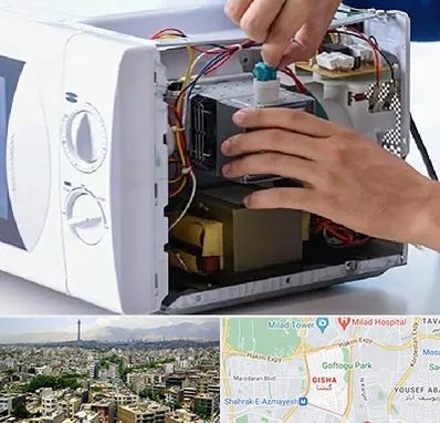 قطعات مایکروفر در گیشا