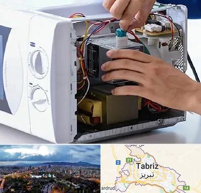 قطعات مایکروفر در تبریز