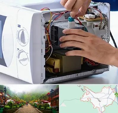 قطعات مایکروفر در فومن