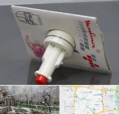 قطعات مولینکس در باغ فیض 