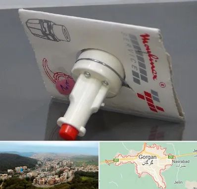 قطعات مولینکس در گرگان