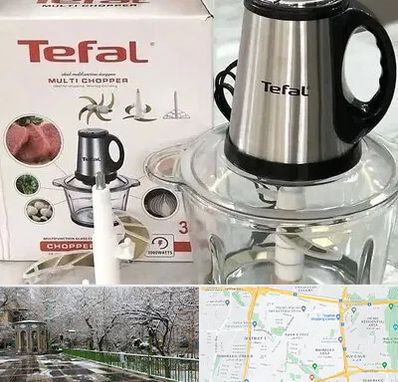 قطعات تفال در باغ فیض