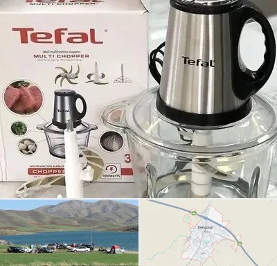 قطعات تفال در دهگلان