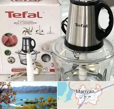 قطعات تفال در مریوان