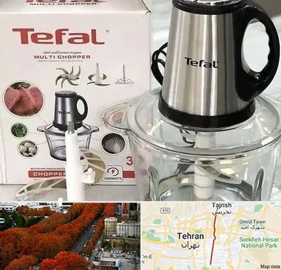 قطعات تفال در ولیعصر 