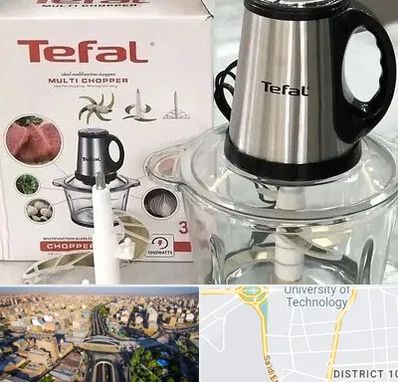 قطعات تفال در استاد معین 