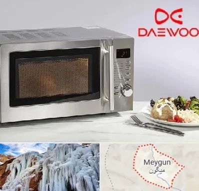 قطعات ماکروفر دوو در میگون