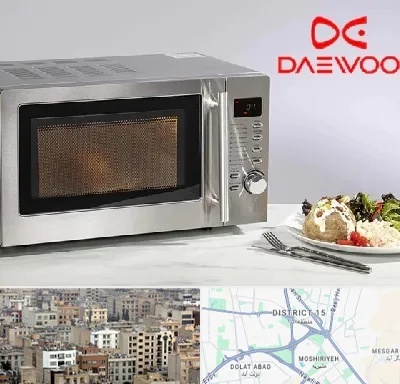 قطعات ماکروفر دوو در جنوب شرق تهران