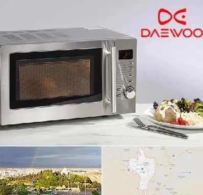 قطعات ماکروفر دوو در تربت حیدریه