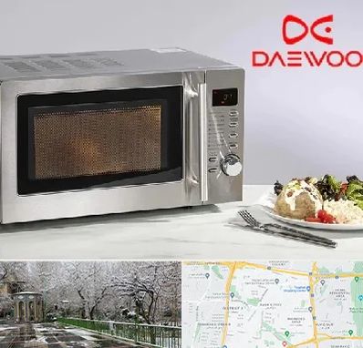 قطعات ماکروفر دوو در باغ فیض 