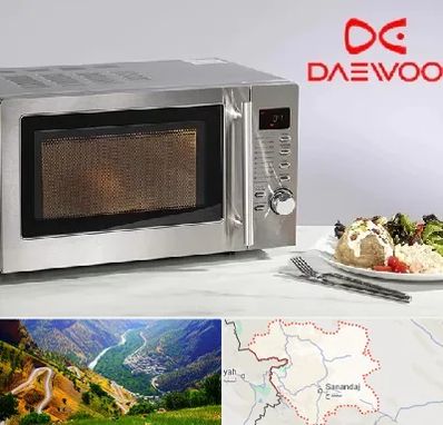 قطعات ماکروفر دوو در کردستان