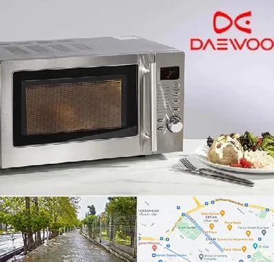 قطعات ماکروفر دوو در خیابان ارم شیراز 