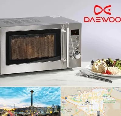 قطعات ماکروفر دوو در تهران