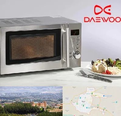 قطعات ماکروفر دوو در بیرجند