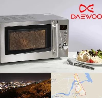 قطعات ماکروفر دوو در میناب