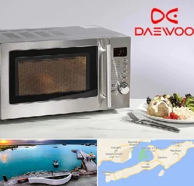 قطعات ماکروفر دوو در قشم