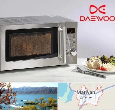 قطعات ماکروفر دوو در مریوان