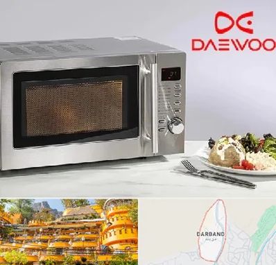 قطعات ماکروفر دوو در دربند