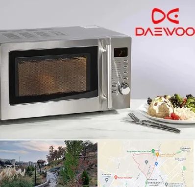 قطعات ماکروفر دوو در باغستان کرج 