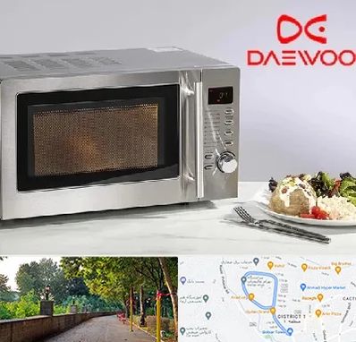 قطعات ماکروفر دوو در فلکه گاز رشت 