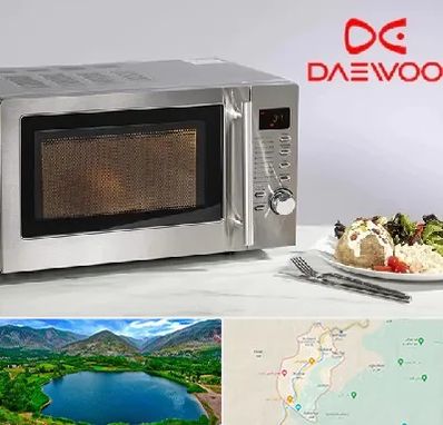 قطعات ماکروفر دوو در رودبار