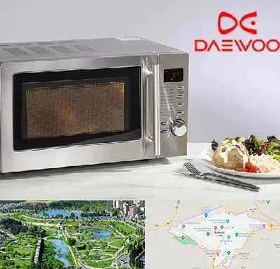 قطعات ماکروفر دوو در بجنورد