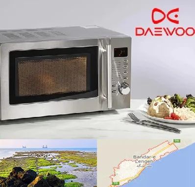 قطعات ماکروفر دوو در بندرلنگه